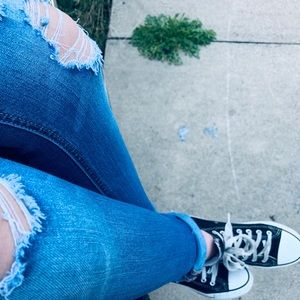 Meet your Posher, Izzy